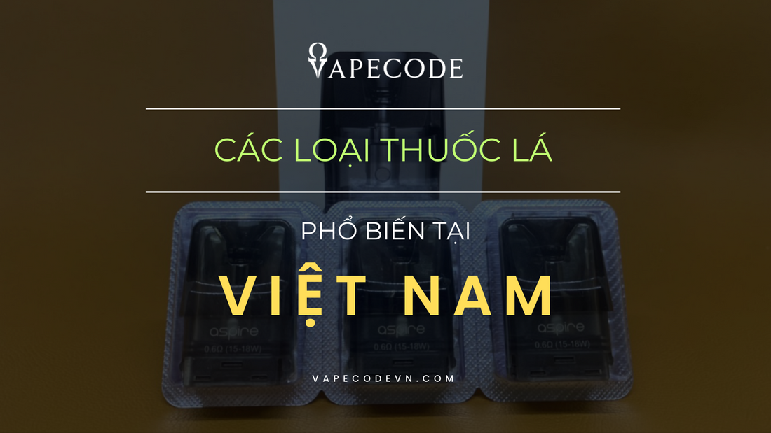 Tổng quan về các loại thuốc lá phổ biến ở Việt Nam